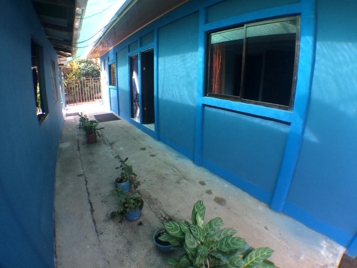 Green Macaw Hostel Tortuguero Exterior foto